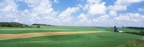 Framed Barn In A Field, Wisconsin, USA Print