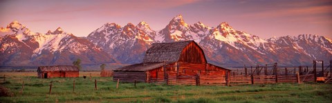 Framed Barn Grand Teton National Park WY USA Print