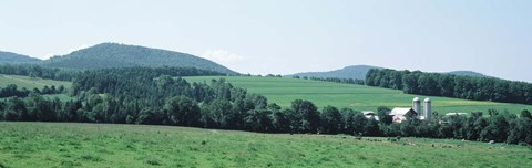 Framed Farm In A Field, Danville, Vermont, USA Print