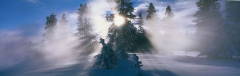 Framed West Thumb Geyser Basin Yellowstone National Park WY Print