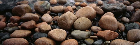 Framed Rocks Acadia National Park ME USA Print