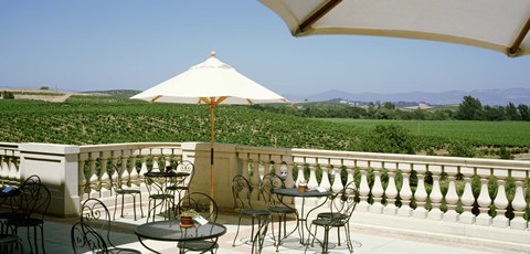 Framed Vineyards Terrace at Winery Napa Valley CA USA Print