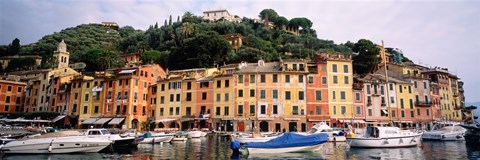 Framed Harbor Houses Portofino Italy Print