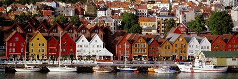 Framed Harbor in Bergen, Norway Print