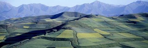 Framed Fields, Farm, Qinghai Province, China Print