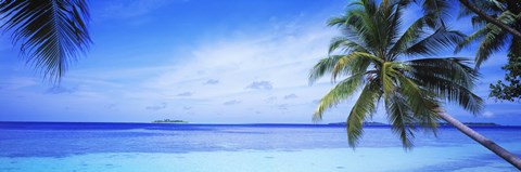 Framed Ocean, Island, Water, Palm Trees, Maldives Print