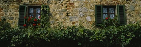 Framed Flowers on a window, Monteriggioni, Tuscany, Italy Print