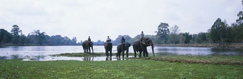 Framed Siem Reap River &amp; Elephants Angkor Vat Cambodia Print
