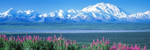 Framed Mountains &amp; Lake Denali National Park AK USA Print