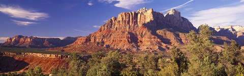 Framed Canyon surrounded with forest, Escalante Canyon, Zion National Park, Washington County, Utah, USA Print