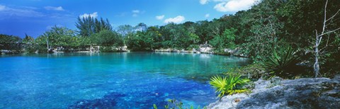 Framed Cozumel, Mexico Print