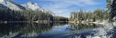 Framed Reflection of trees in a lake, Yellowstone National Park, Wyoming, USA Print