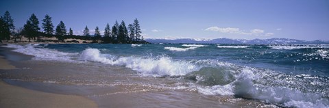 Framed Trees along a lake, Lake Tahoe, Nevada, USA Print