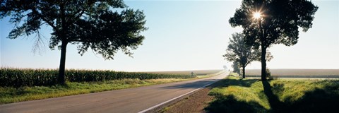 Framed Road passing through fields, Illinois Route 64, Illinois, USA Print
