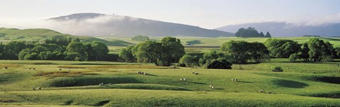 Framed Farmland Southland New Zealand Print