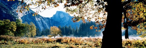 Framed Half Dome, Yosemite National Park, California, USA Print