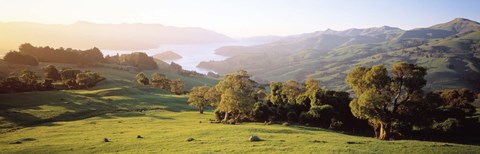 Framed Akaroa Harbor Canterbury New Zealand Print