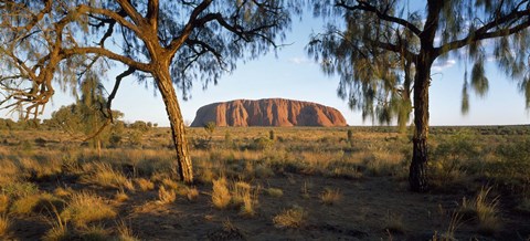 Framed Ayers Rock Australia Print