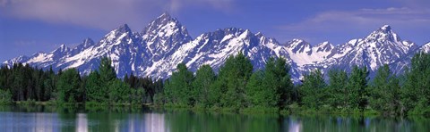 Framed Grand Tetons National Park WY Print