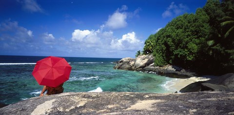 Framed Indian Ocean Moyenne Island Seychelles Print
