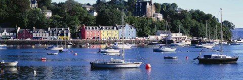 Framed Boats docked at a harbor, Tobermory, Isle of Mull, Scotland Print