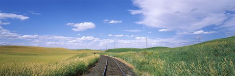 Framed Railroad track passing through a field, Whitman County, Washington State, USA Print