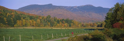 Framed Woman cycling on a road, Stowe, Vermont, USA Print