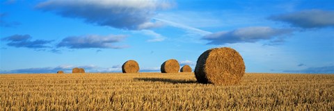 Framed Hay Bales, Scotland, United Kingdom Print