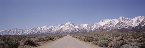 Framed USA, California, Sierra Nevada, Bushes on both sides of a road Print
