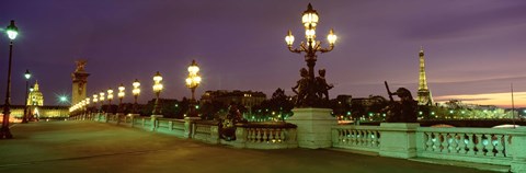 Framed Alexander III Bridge, Paris, France Print