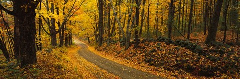 Framed Fall woods Monadnock NH USA Print