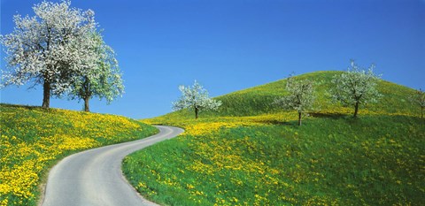 Framed Winding Road Canton Switzerland Print