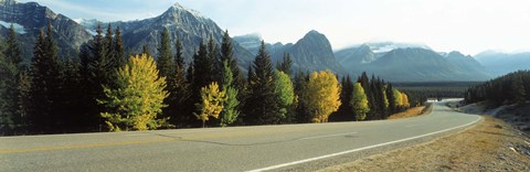 Framed Road Alberta Canada Print