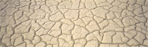 Framed Dried Mud Death Valley CA USA Print