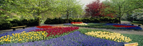 Framed Keukenhof Gardens, Lisse, Netherlands Print