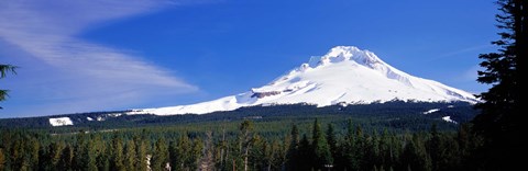 Framed Mount Hood OR USA Print