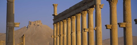 Framed Low angle view of Great Colonnade, Palmyra, Syria Print