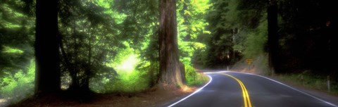 Framed Road, Redwoods, Mendocino County, California, USA Print