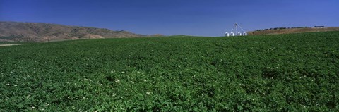 Framed USA, Idaho, Burley, Potato field surrounded by mountains Print