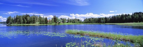 Framed Lakelands, Finland Print