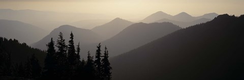 Framed Mount Rainier National Park WA USA Print