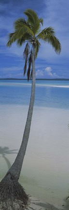 Framed Palm tree on the beach, One Foot Island, Aitutaki, Cook Islands Print