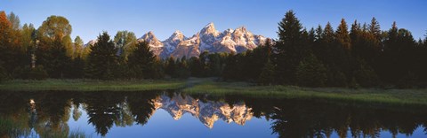 Framed Beaver Pond Grand Teton National Park WY Print