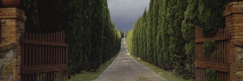 Framed Road, Tuscany, Italy, Print