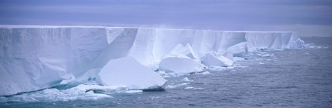 Framed Iceberg, Ross Shelf, Antarctica Print