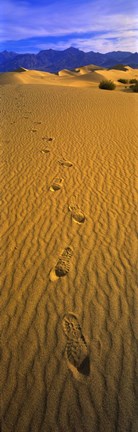 Framed Footprints, Death Valley National Park, California, USA Print