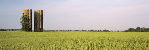 Framed USA, Arkansas, View of grain silos in a field Print
