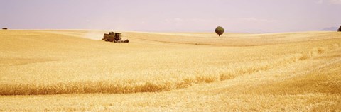 Framed Tractor, Wheat Field, Plateau De Valensole, France Print