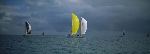 Framed Sailboat race Key West, Florida Print