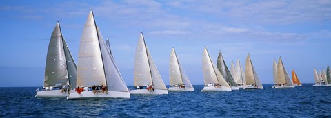 Framed Yachts in the ocean, Key West, Florida, USA Print